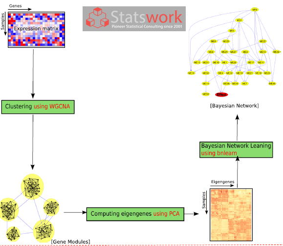 Involvement of Bayesian network models in predicting various types of hematological malignancies